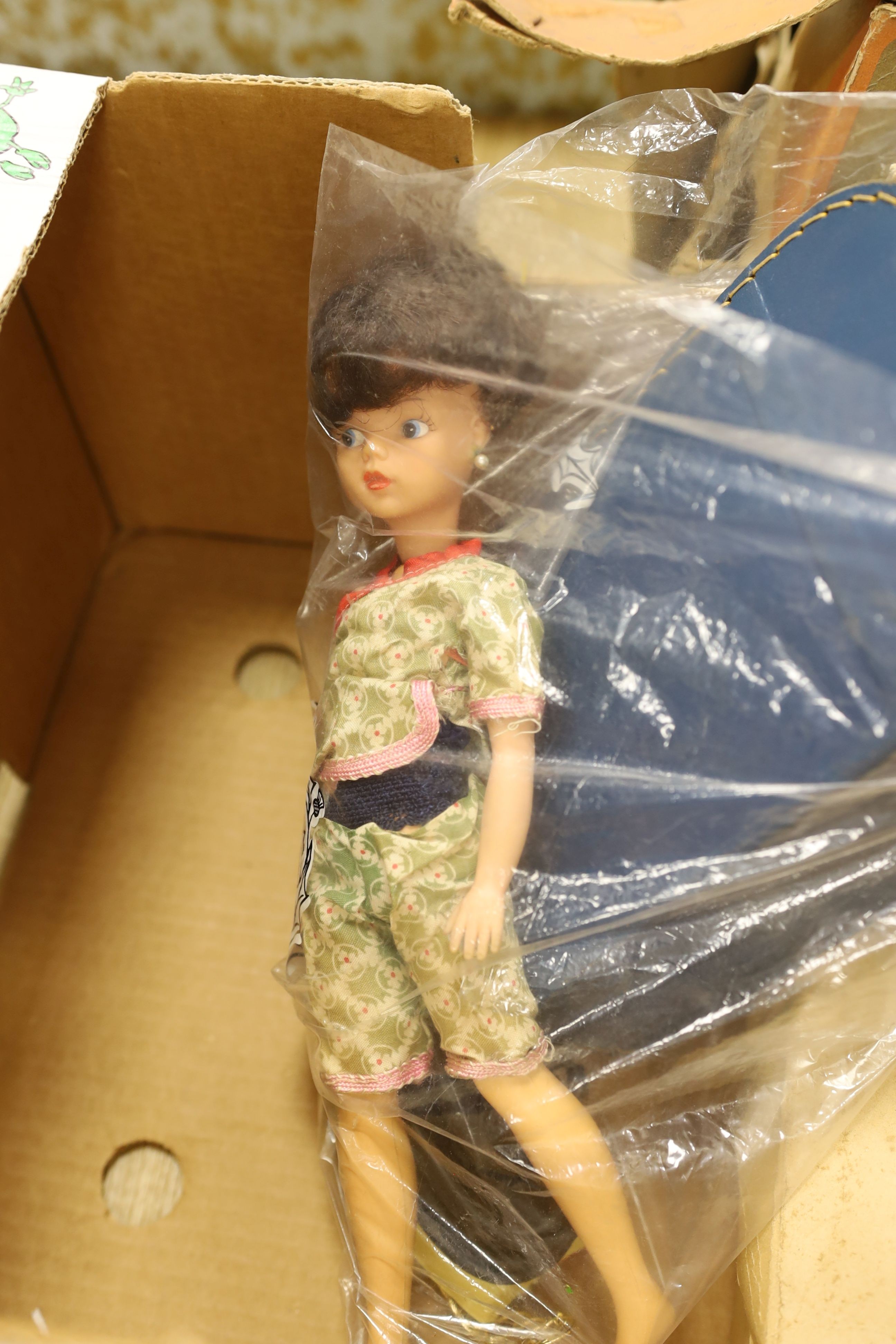 Three boxed dolls, The Visible Women and Cindy with cased clothes